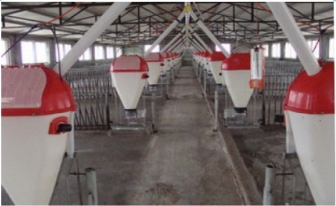 廣西豬場(chǎng)